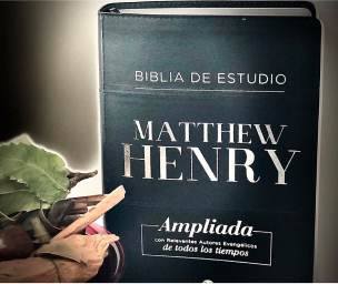 Biblias / Biblias de Estudio